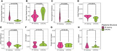 Does IR-loss promote plastome structural variation and sequence evolution?